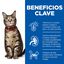 7 kg Hill's Adult Science Plan Frango ração para gatos, , large Indicador imagem número 5
